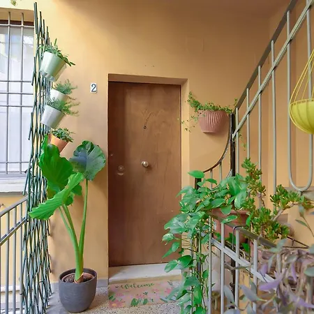 Mono Pratello Bologna