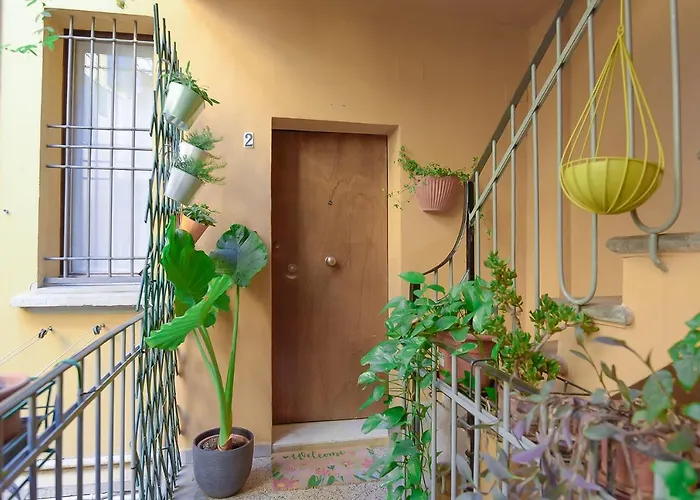 Mono Pratello Bolonia